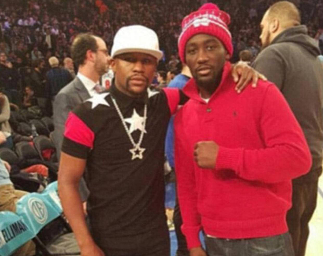 经历, 拳坛的卓越, 雷兹 经历, 拳坛的卓越, 雷兹